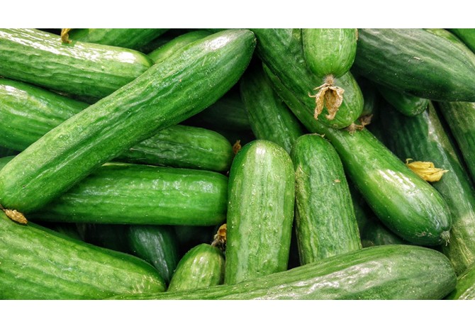 Benefits of a Cucumber For Your Skin
